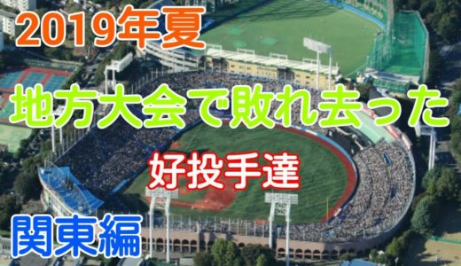【2019夏 高校野球】地方大会で敗れ去った好投手達（関東編）