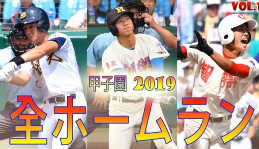 「高校野球は素晴らしい!」夏の甲子園2019のサヨナラホームラン集!HD #1