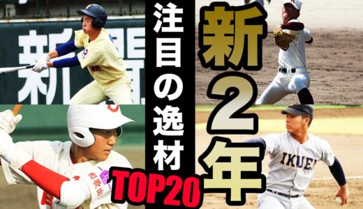 森木大智、笹倉世凪、通算20本塁打越えスラッガーなど…注目しておきたい全国の新2年生TOP20