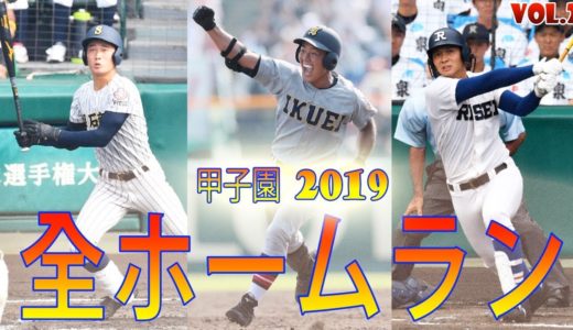 「高校野球は素晴らしい!」夏の甲子園2019のサヨナラホームラン集!HD #2