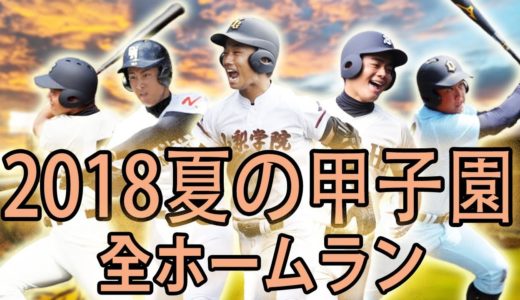 【高校野球】2018夏の甲子園ホームラン集【全51本】
