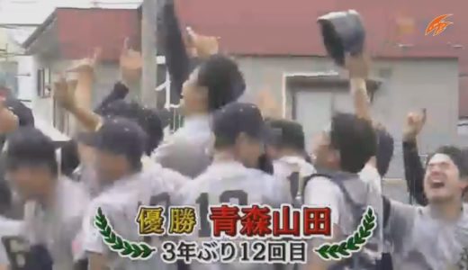 【高校野球】青森独自大会決勝:青森山田vs光星! 奪三振·得点集