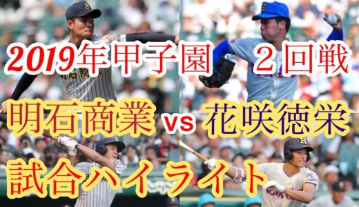 【高校野球】2019年甲子園　花咲徳栄vs明石商　試合ハイライト
