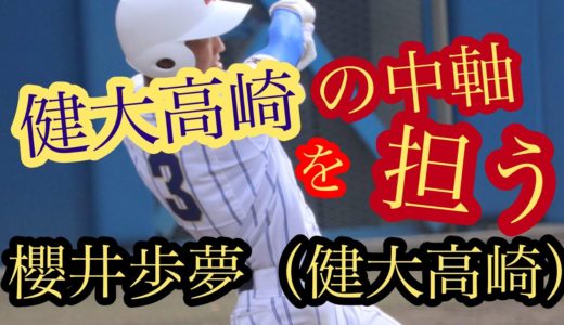 【2021年高校野球】櫻井　歩夢（健大高崎）　打席まとめ