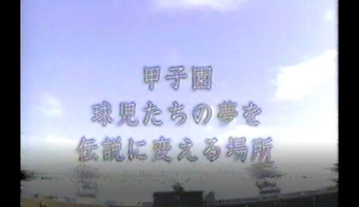 【1999年全国高校野球】岡山理大附 × 桐生第一【熱闘甲子園 決勝】