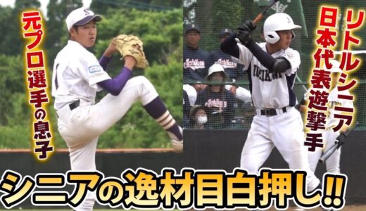 【中学野球】シニア日本選手権予選東関東に密着！逸材5名を紹介！
