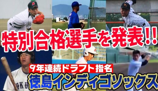 【10年連続なるか？】NPBに選手を輩出し続ける徳島インディゴソックスが特別合格選手を発表！