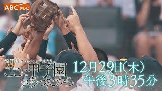 「高校野球スペシャル2022 ～ここに甲子園があったから～」12月29日(水)午後3時35分～放送（関西地区）