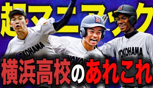 【高校野球】横浜高校の〇〇‼︎‼︎知ってたらエグい⁉︎横浜高校にまつわるそんな雑学をクイズで出題‼︎ # 256