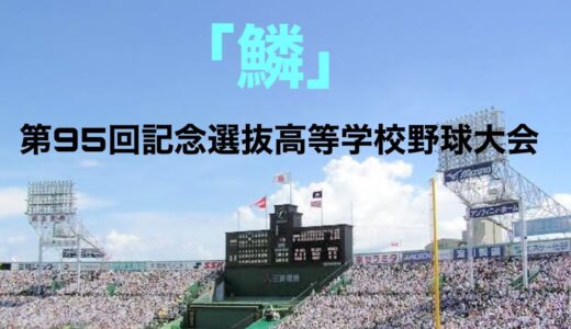 2023 選抜高校野球　総集編