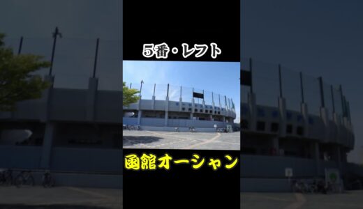 【硬式・男子限定】高校野球で使われる野球場だけで、チーム編成してみた～北海道篇～   #高校野球