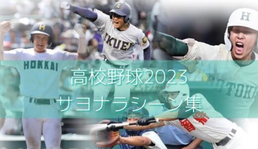 【2023年】サヨナラシーン集【高校野球】【甲子園】