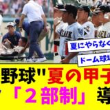 高校野球”夏の甲子園”、朝夕「２部制」導入へ【ネット反応集】