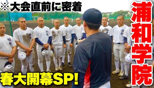 浦和学院野球部の大会直前練習に潜入…緊張感高まる高校野球独特の雰囲気。